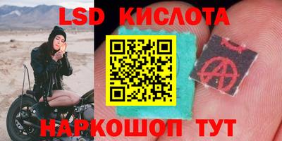 тгк Гатчина