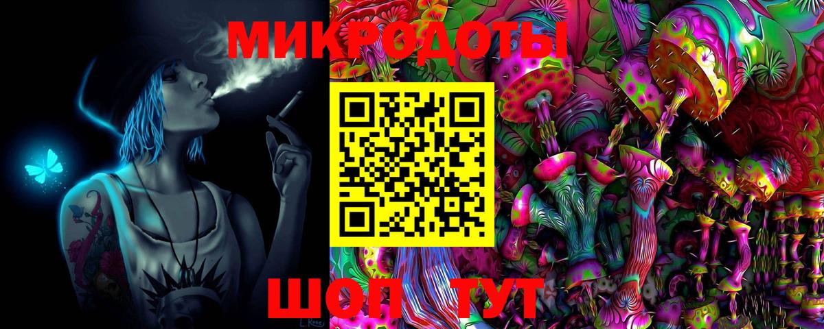 Псилоцибиновые грибы Cubensis Губкинский