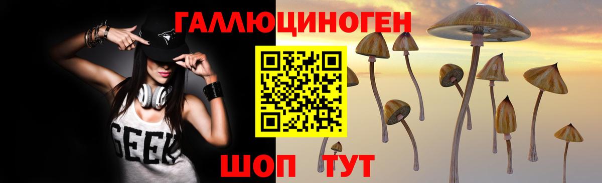 Псилоцибиновые грибы Magic Shrooms  Псилоцибиновые грибы GOLDEN TEACHER  Губкинский  Вход с VPN 